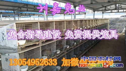 微信圖片_20170615000644