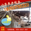 西門達(dá)爾牛牛仔最近價格