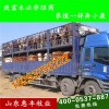 雜交西門(mén)塔爾牛牛仔