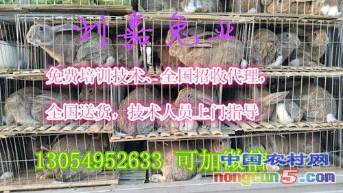 微信圖片_20170615000619