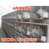 雜交野兔子多少錢(qián)一只