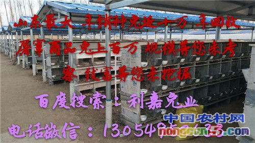 微信圖片_20171009102449