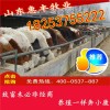 西門(mén)塔爾牛肉牛犢