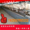 雜交西門(mén)達(dá)爾育肥牛犢