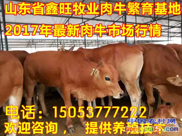 timg (1)_副本