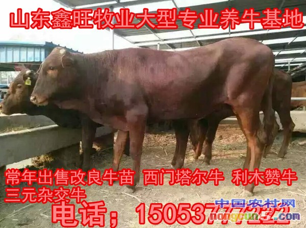 20160327103637_23051_副本