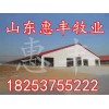 魯西黃牛肉牛最近價(jià)格