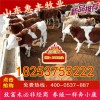 西門塔爾肉牛犢最新價(jià)格