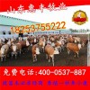 改良西門塔爾牛肉牛