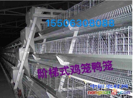 階梯式
