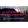新手應(yīng)該養(yǎng)什么品種兔子，養(yǎng)兔子賺錢嗎