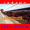 魯西黃牛肉牛犢最近價格