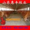 夏洛萊牛仔最新價格