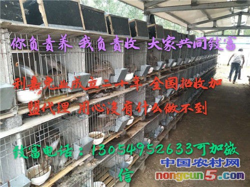 微信圖片_20171009102453