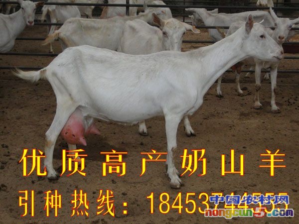 2012727187258179_conew1