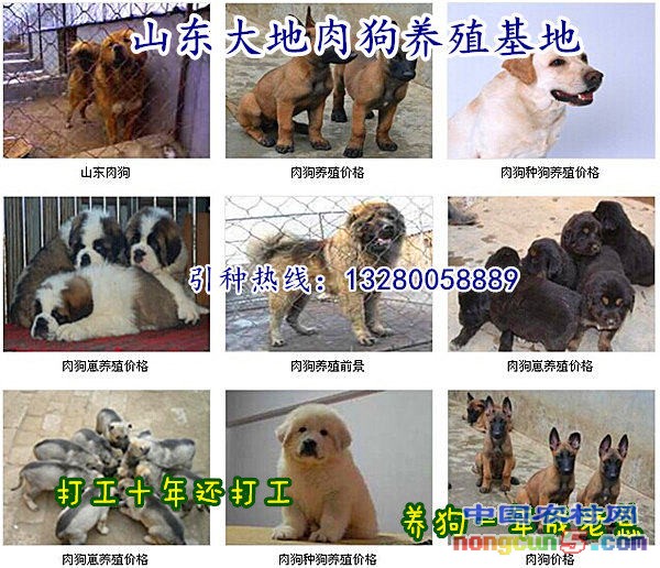 QQ圖片20140827150910_副本_副本