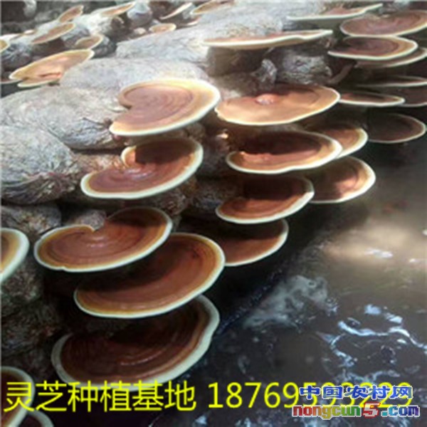 9_副本