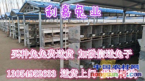微信圖片_20170615000659