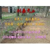 現(xiàn)在養(yǎng)五百只兔子一年能賺多少錢