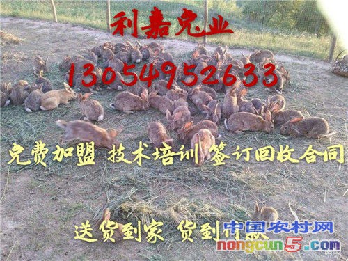 微信圖片_20170728224928