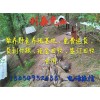 肉兔養(yǎng)殖加盟的合作方式方法