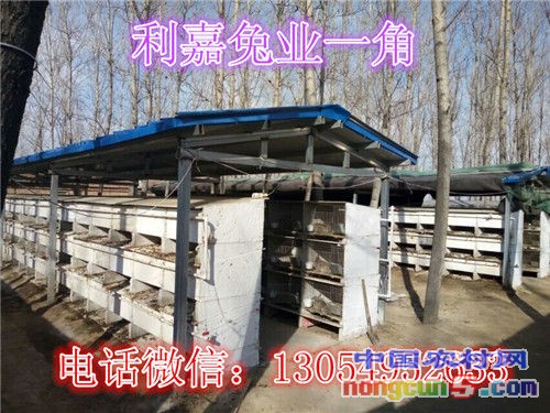 1456310619163_副本