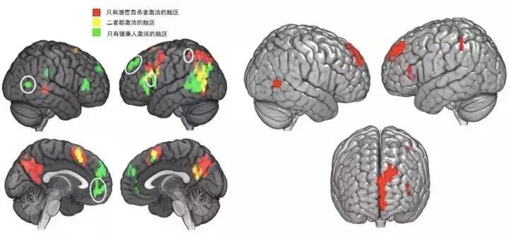 AI 能否拯救下一个茅侃侃？算法破局创业者之殇