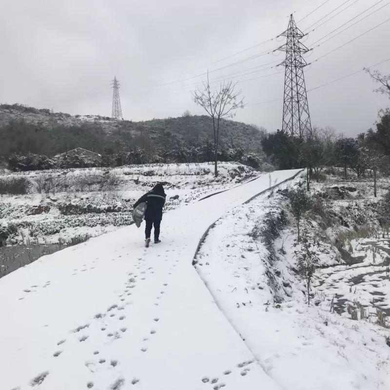 每一个穿越暴风雪而来的包裹，背后都有一群勇敢的物流人-天下网商-赋能网商，成就网商