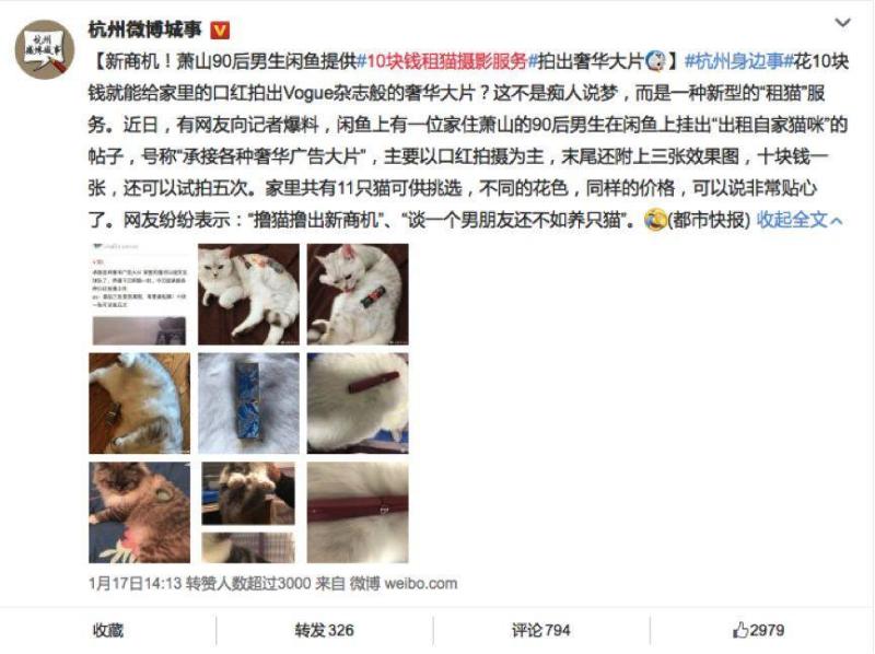 天猫真的找来了一群猫当模特，网友：买香水送猫吗？-天下网商-赋能网商，成就网商