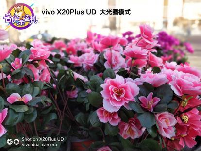 从“营销达人”到“黑科技”大师：vivo X20Plus屏幕指纹版体验评测