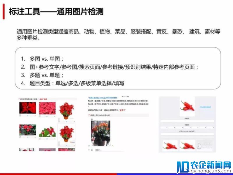 百度数据众包详解《人工智能领域数据处理解决方案》（PPT全文）