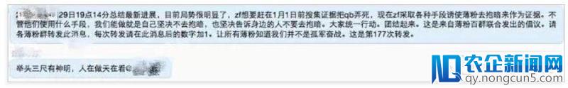 在钱宝群潜伏三天后，我发现了一群永远叫不醒的人