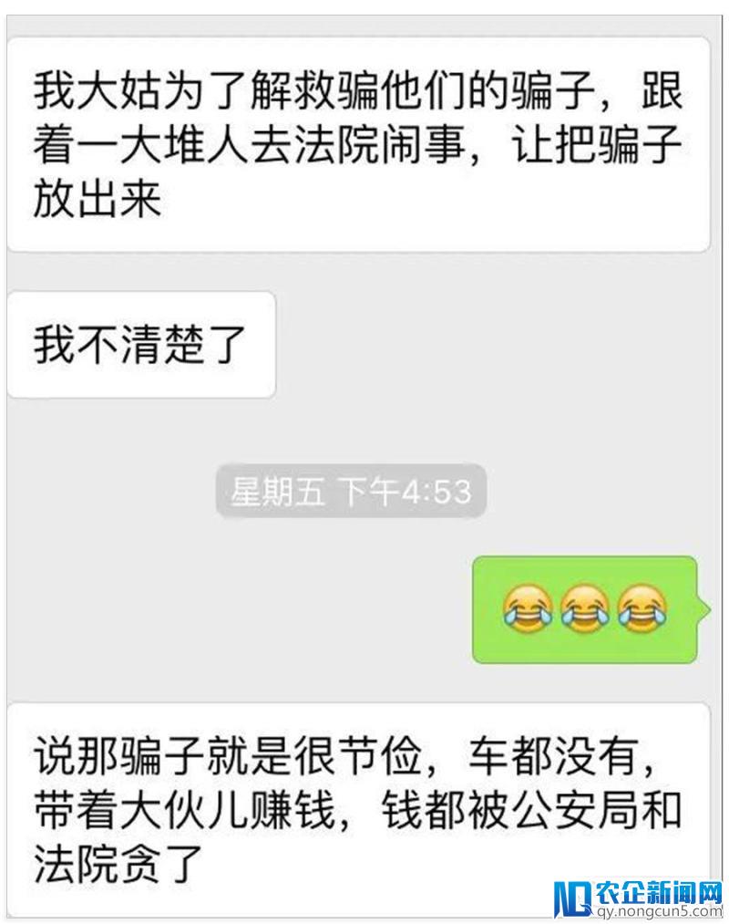 在钱宝群潜伏三天后，我发现了一群永远叫不醒的人