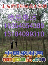 IMG20171014153355_副本_編輯