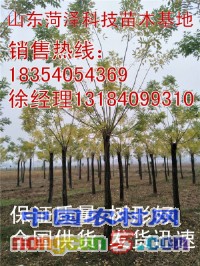 IMG20171018094643_副本_編輯