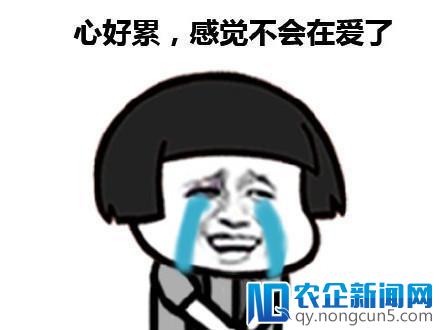 [0207创精选]嘘！小声点说，AV也搞起代币了