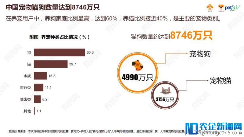 要回家过年了，你养的猫猫狗狗安置好了吗？