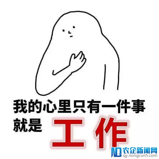[0207创精选]嘘！小声点说，AV也搞起代币了