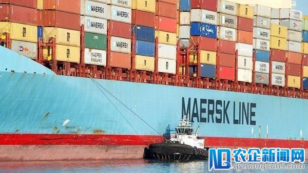 物流服务提供商Agility成为Maersk-IBM区块链项目首位企业客户