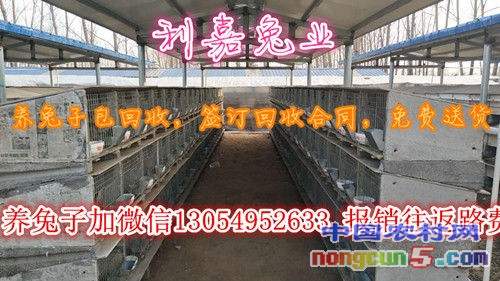 微信圖片_20170615000654