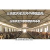 福建福安市利木贊牛養(yǎng)殖場