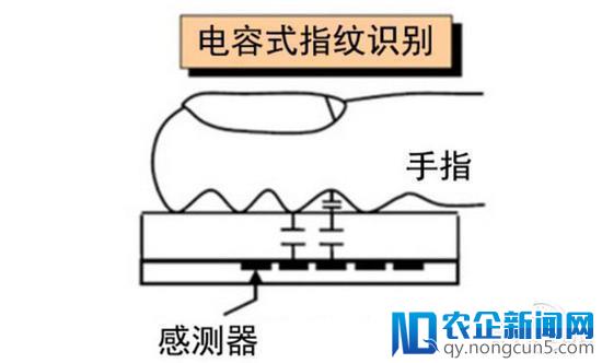 一段胶带轻易破解手机指纹识别？这事没那么简单