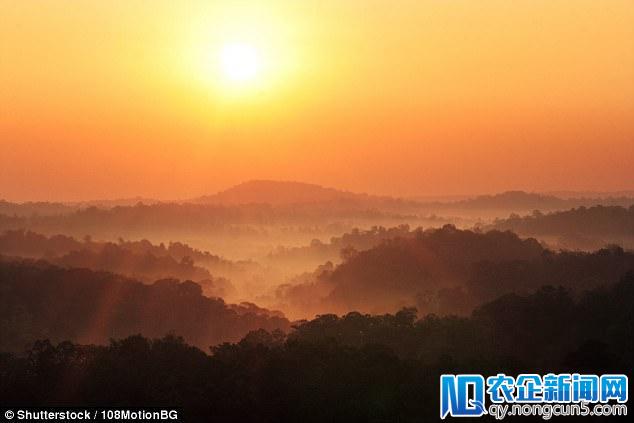 研究：太阳30年内会降温 但无法阻止全球变暖