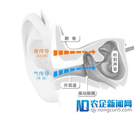 安全最重要：AfterShokz骨传导耳机伴你归家路