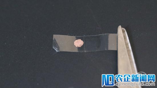 一段胶带轻易破解手机指纹识别？这事没那么简单