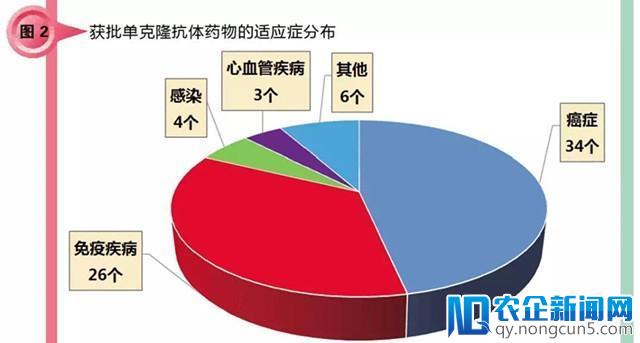 单抗药处在发展黄金时期，适应症两大类格局有所变化