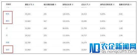 快速强化标签，获取大量手淘首页流量不传之秘