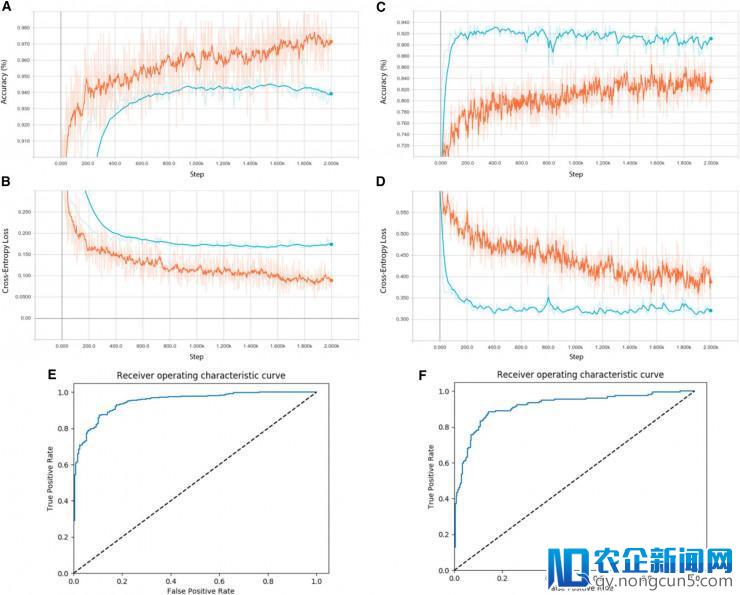 重磅！中国科学家最新AI成果荣登《细胞》：眼病和肺炎诊断率媲美专家水平