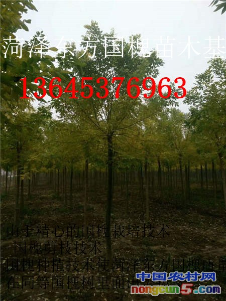 QQ圖片20171017152801_副本