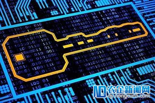 区块链春节“不眠” 争议崎岖后迎来价